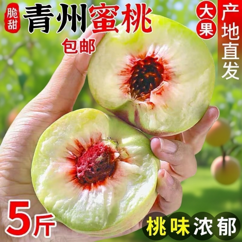 冬桃正宗山东青州蜜桃新鲜水果桃子孕妇当季脆桃产地直发现摘现发