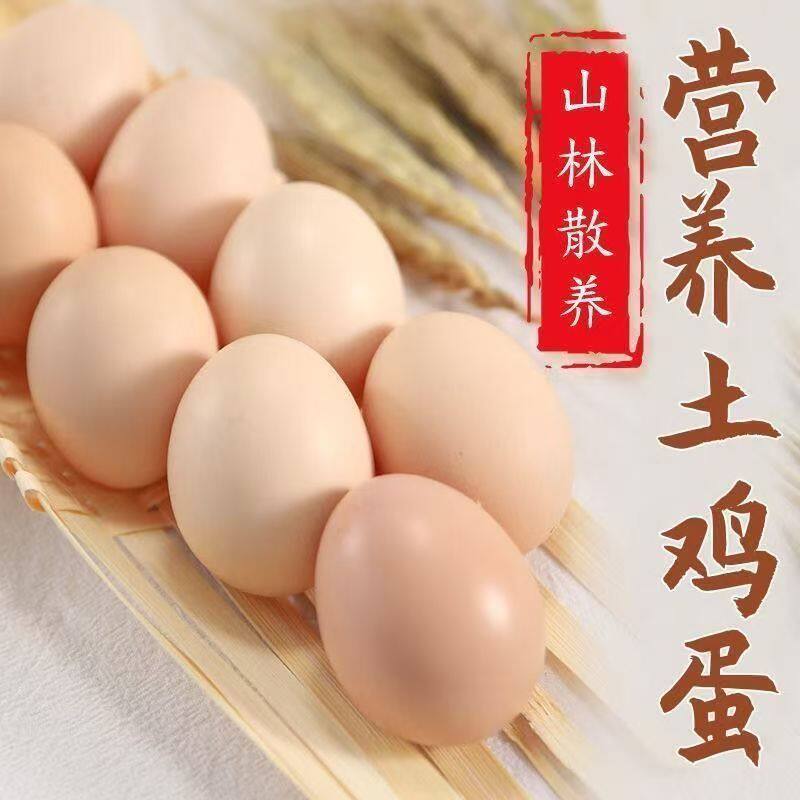 正宗农家散养土鸡蛋柴鸡蛋新鲜笨鸡蛋谷物蛋鲜鸡蛋月子蛋多规格,水产肉类/新鲜蔬果/熟食,鸡蛋,淘宝优惠券,粉丝福利购,淘宝优惠卷