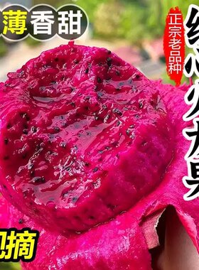 海南金都一号红心火龙果5斤当季新鲜水果一级大枚果整箱批发包邮