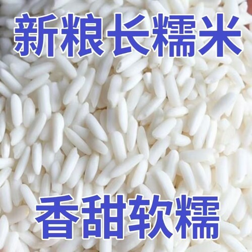 新粮长糯米东北长粒糯米江米大米包粽子酿酒新鲜香甜软糯批发新米