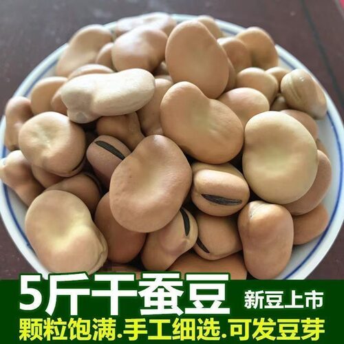 云南干蚕豆今年新货生蚕豆新蚕豆胡豆农家自产五谷杂粮原味散装