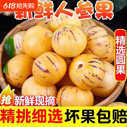 正宗人参果云南石林树上熟新鲜现摘人参果圆果直发大果水果