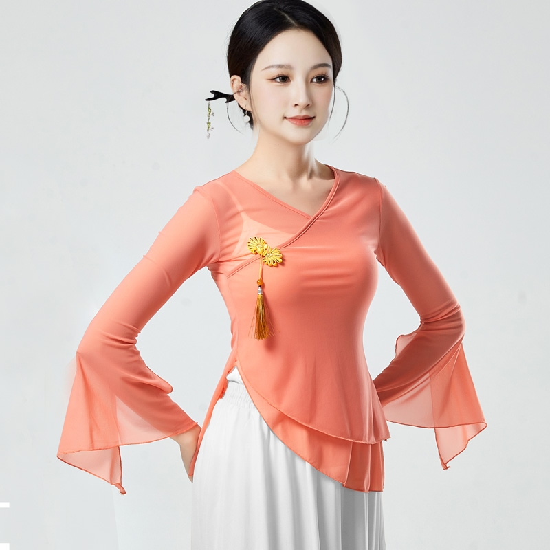 古典舞舞蹈服飘逸女纱衣身韵练功服演出服艺考中国风仙女基训上衣