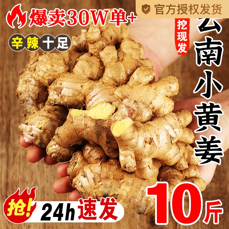 500g 2024������С�ƽ�������������Ͻ����ڸ�ɽɳ�����������߲�10��