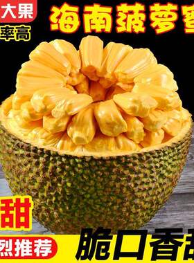海南黄肉菠萝蜜当季新鲜热带水果木菠萝蜜黄肉香甜大果