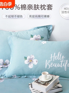 纯棉枕套全棉枕头套一对装100棉家用40x60cm单个48cmx74cm新款