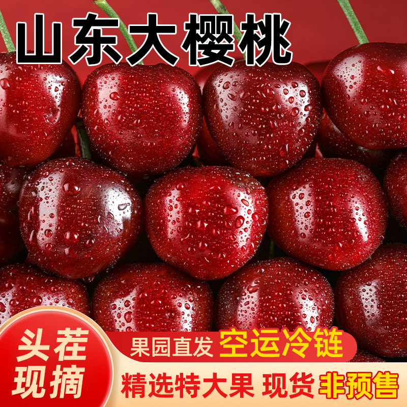 山东大樱桃桃新鲜水果头茬现摘国产车厘子烟台5斤特大果冷链顺丰