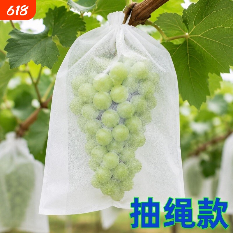 自带抽绳葡萄水果套袋防虫鸟防雨水果无纺布袋无花果透果蔬收纳袋