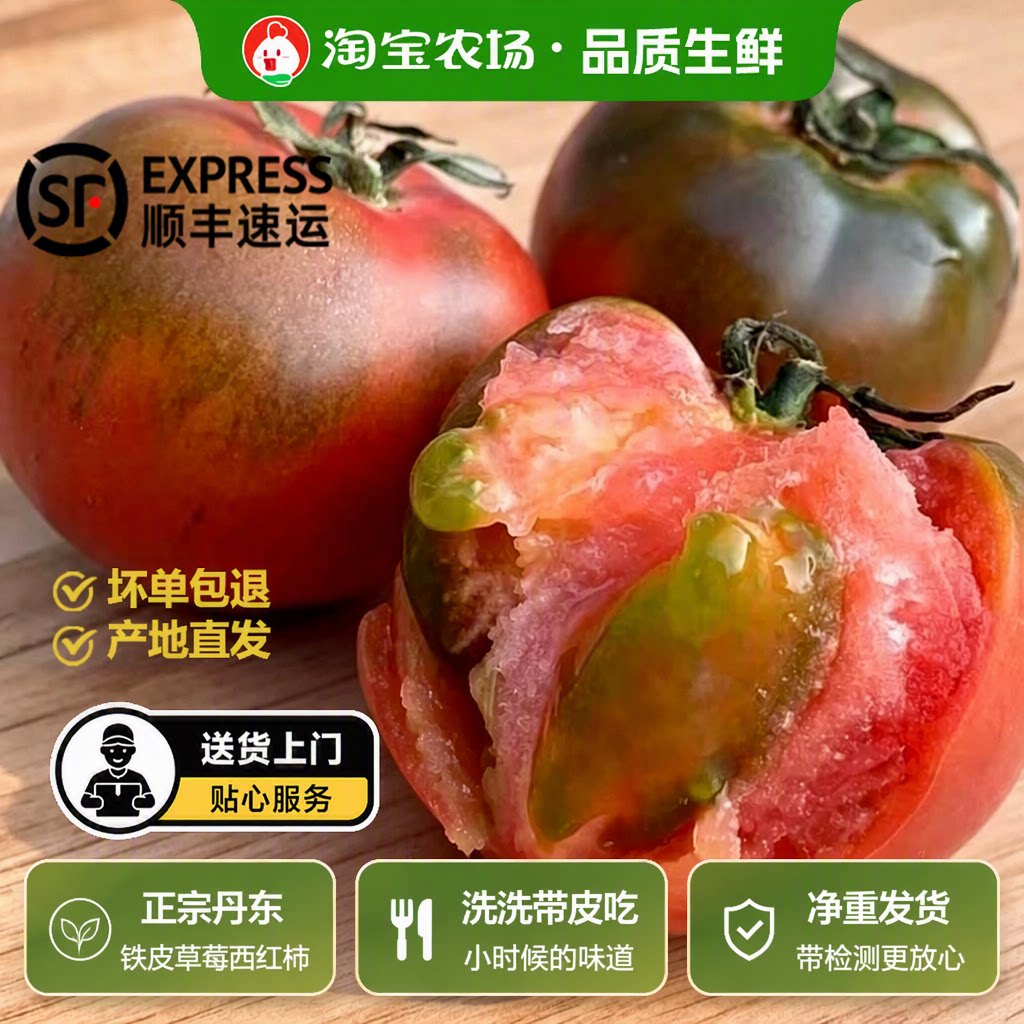 正宗铁皮草莓柿子新鲜当季西红柿生吃水果东北番茄顺丰包邮沙瓤