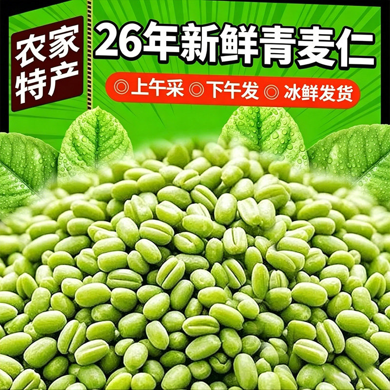 青麦仁新鲜优质青麦粒米去皮即食煮粥饭鲜麦仁粥营养丰富五谷燕麦