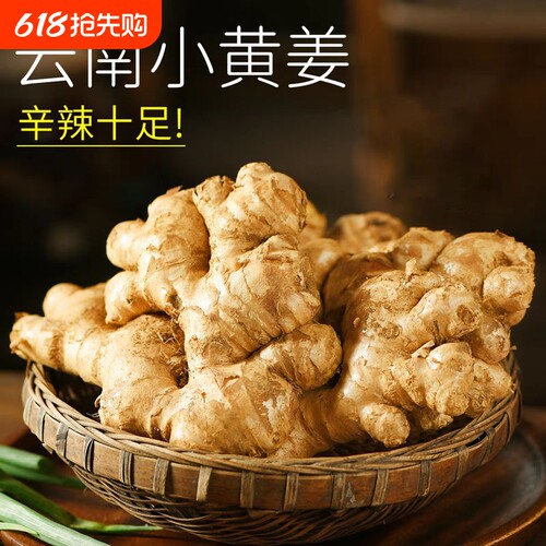 云南小黄姜鲜姜生姜新鲜现挖老姜自种姜嫩蔬菜整箱批发农家辛辣