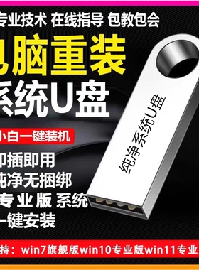 系统U盘win10专业版win11安装电脑台式机PE启动优盘重装高速纯净