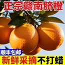 水果孕妇甜橙芒果 正宗江西赣南脐橙新鲜橙子10斤大果当季 顺丰 包邮