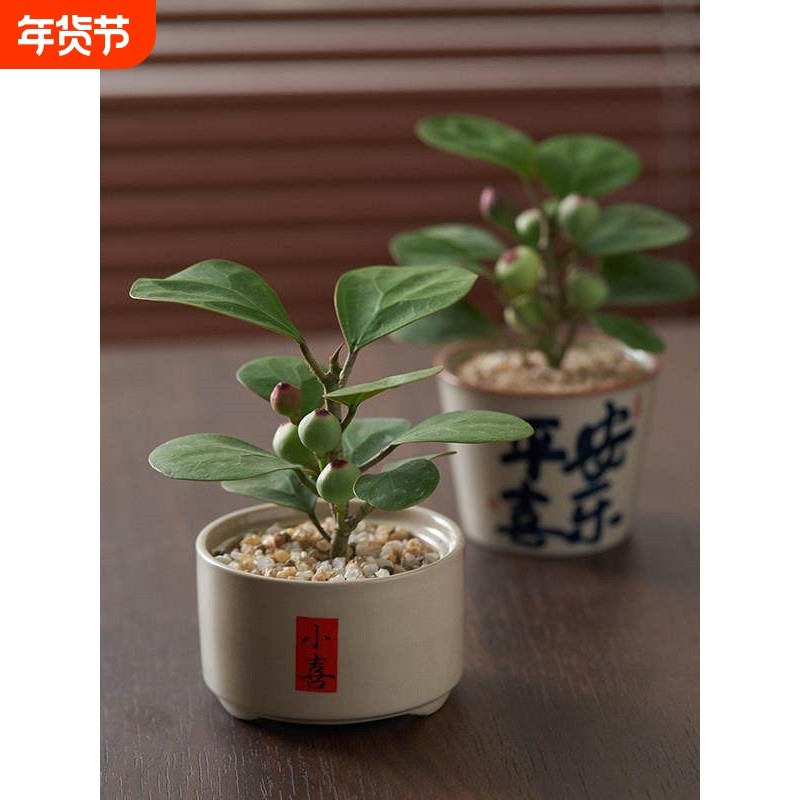 小盼菩提禅意禅风盆栽盆景室内净化空气办公室内桌面绿植花卉,鲜花速递/花卉仿真/绿植园艺,造型盆景,淘宝优惠券,粉丝福利购,淘宝优惠卷