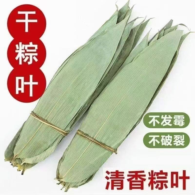 粽子叶粽叶干大号棕叶新鲜包粽子的竹叶子干粽叶商用箬叶材料