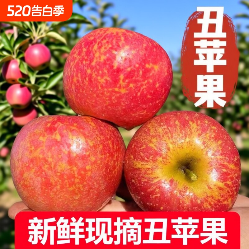 原产地现摘现发正宗丑苹果野生新鲜冰糖心脆甜水果应季水果