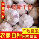 今年新干蒜农家干大蒜紫白皮大蒜头新鲜大蒜蔬菜