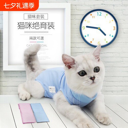 猫咪可调生理母猫绝育手术服护肚恢复保咪产后断奶康复猫咪衣服