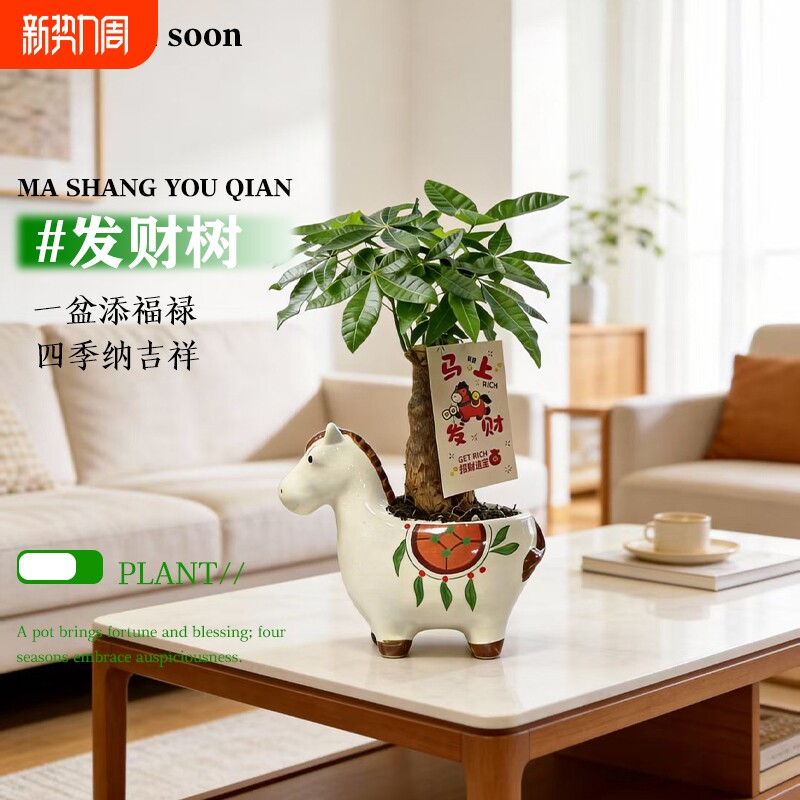 马上发财盆栽客厅招财树植物办公室内桌面绿植花创意手绘马花盆