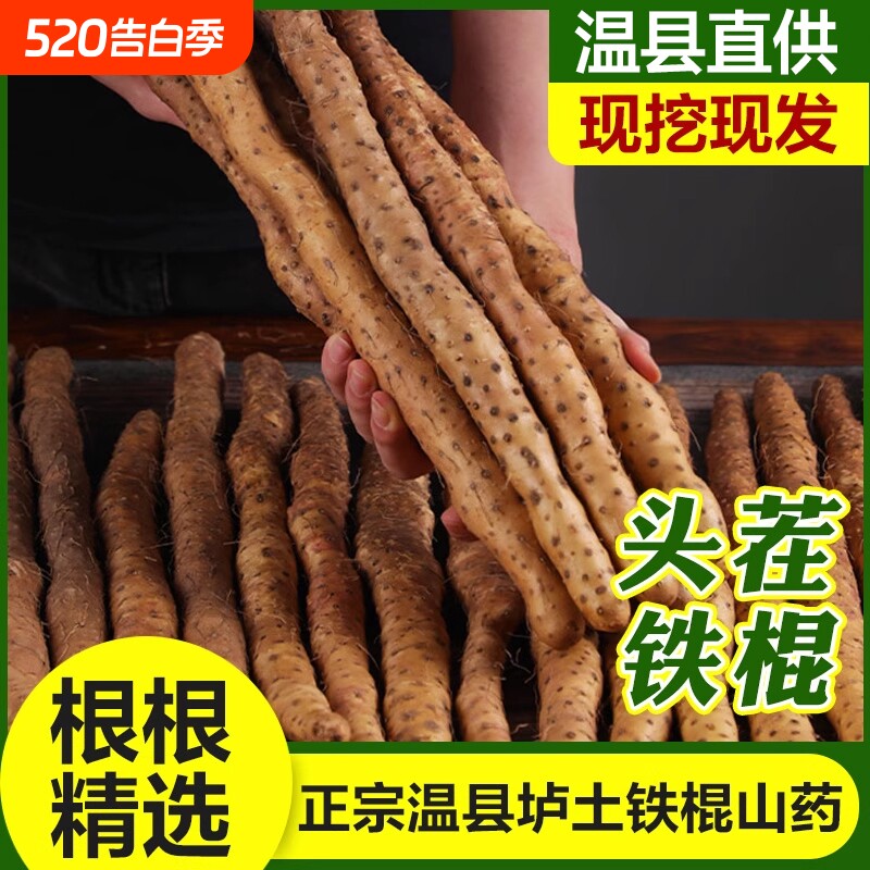 垆土铁棍山药河南焦作温县原产直发新鲜采挖正宗怀淮山药礼盒铁杆