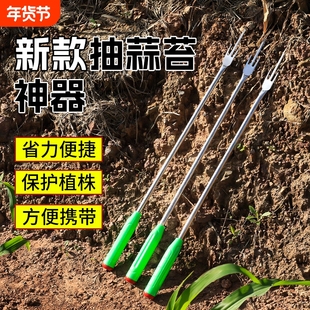 抽蒜苔剥蒜苔神器打蒜台的工具划蒜苔快速拔剔蒜薹提摘蒜苔收割刀