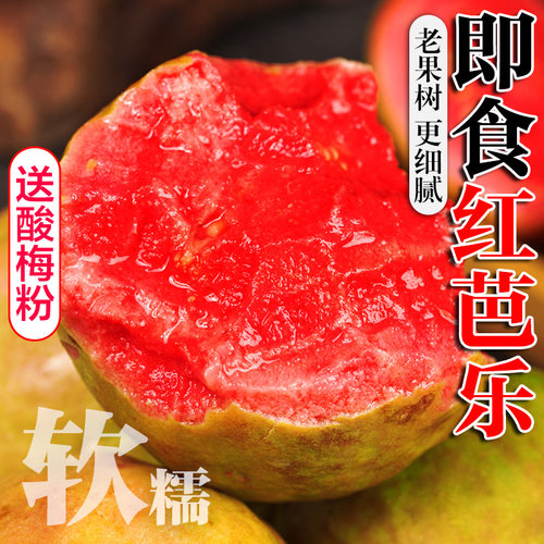 福建软糯红心芭乐5即食熟透新鲜水果3番石榴胭脂红巴乐整箱包邮