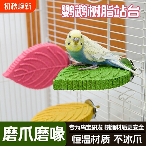 鹦鹉站台站杆玩具磨爪树脂站棒虎皮解闷磨爪站架磨牙站棍鸟用秋千