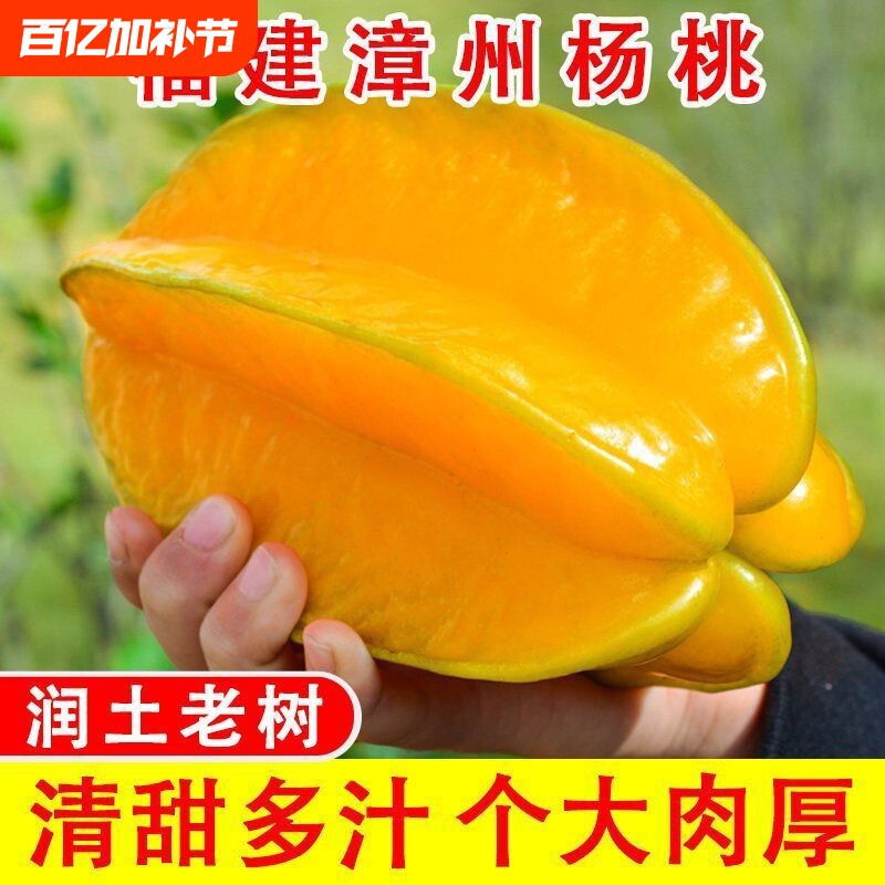 福建漳州正宗新鲜杨桃清甜爽口树上自然熟当季应季水果整箱发