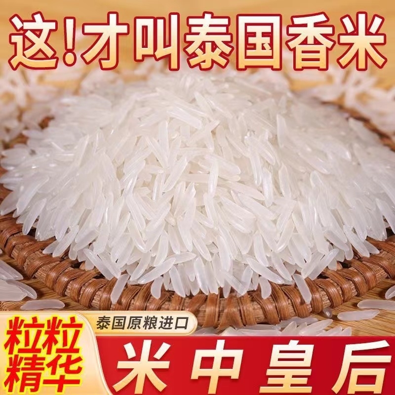 泰国苏吝府原粮进口茉莉香米