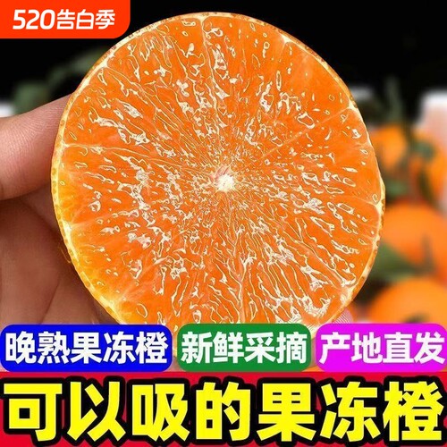 四川正宗青见早熟果冻橙大果橙子爆汁当季新鲜水果柑橘整箱包邮