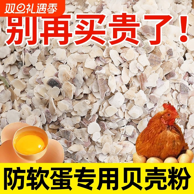 贝壳粉鸡用饲料鸡鸭鹅鸽子补钙防啄蛋防产蛋喂鸡牡蛎粉保健砂高钙