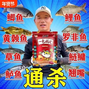 秋冬邓刚专攻一包搞定钓鱼饵料钓鲫鱼鲤鱼草鱼鳊鱼青鱼野钓通杀饵