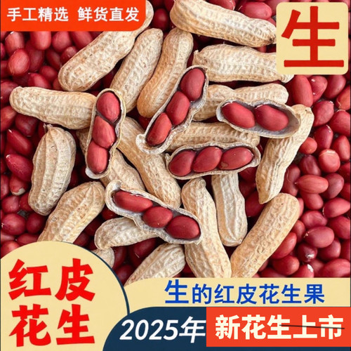 东北带壳红皮花生果2025新货农家新货新鲜生的四粒红花生晒干原味