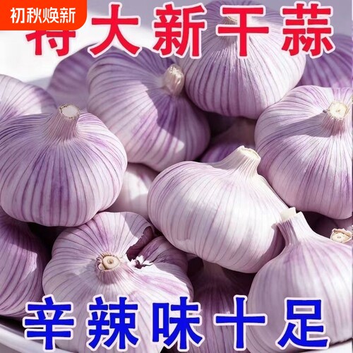 2026年新蒜头山东蒜紫皮大蒜头干蒜批发农家蒜头干大蒜新鲜紫蒜
