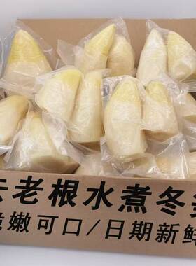 2025野生大冬笋水煮笋新鲜楠竹笋春笋蔬菜火锅食材整件商用批发