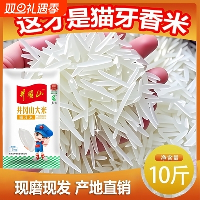 猫牙米长粒香米正宗江西井冈山丝苗大米当季新米煲仔饭专用长粒米