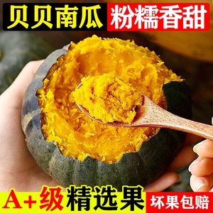 正宗真贝贝小南瓜5斤板栗味宝宝婴儿辅食老糯香甜1/3斤蔬菜当季