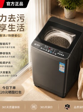 扬子波轮洗衣机全自动迷你小型家用宿舍租房10KG大容量洗脱烘一体