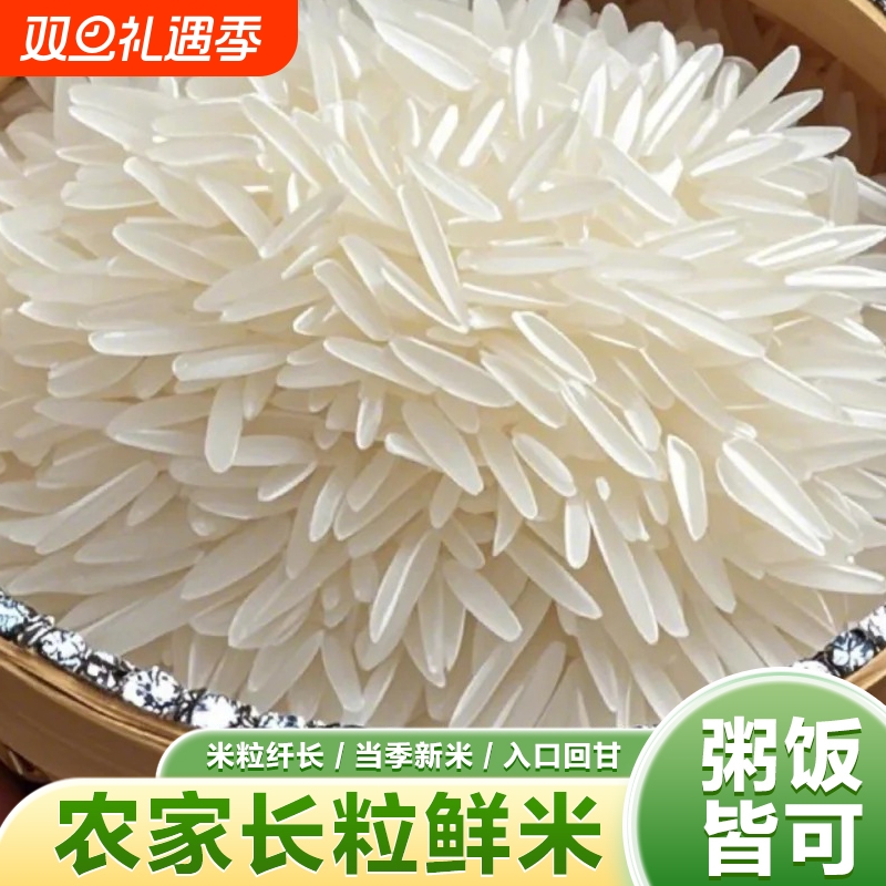 农家自产一级长粒香细米正宗猫牙米大米当季新米长粒大米蛋炒饭米