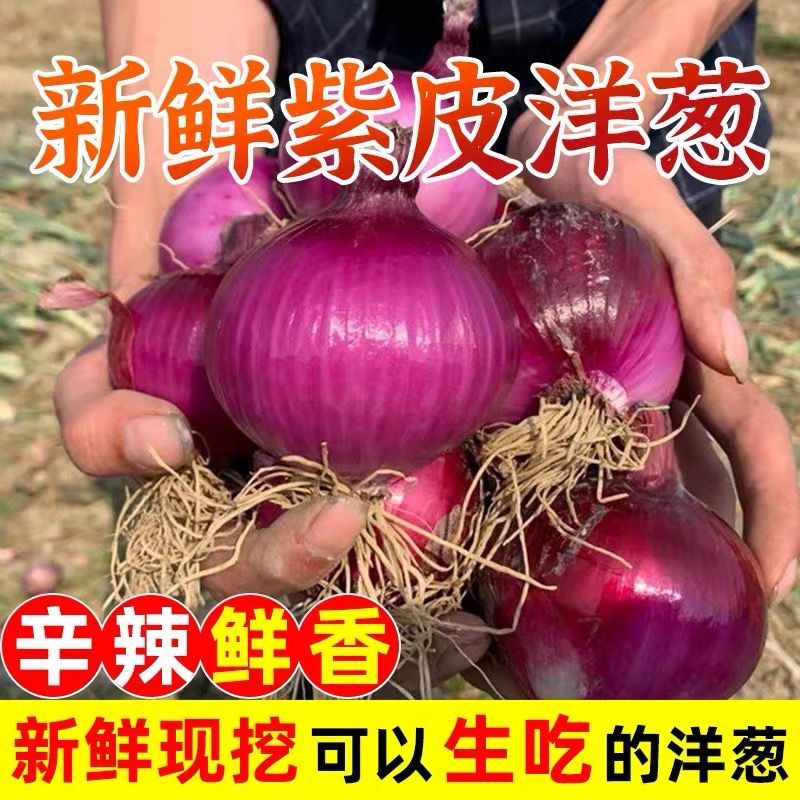 【强烈推荐】冬天要多吃洋葱