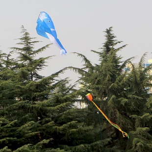 潍坊鸿运风筝批发烫金鲤鱼子母鲨鱼板鱼金鱼燕鱼美人鱼章鱼八爪鱼