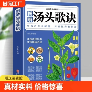 中医书籍大全中医基础理论倪海厦经典 药方中医书籍养生诊断学中草药彩图大全书黄帝内经 药方书籍大全经典 全彩典藏白话版 汤头歌诀