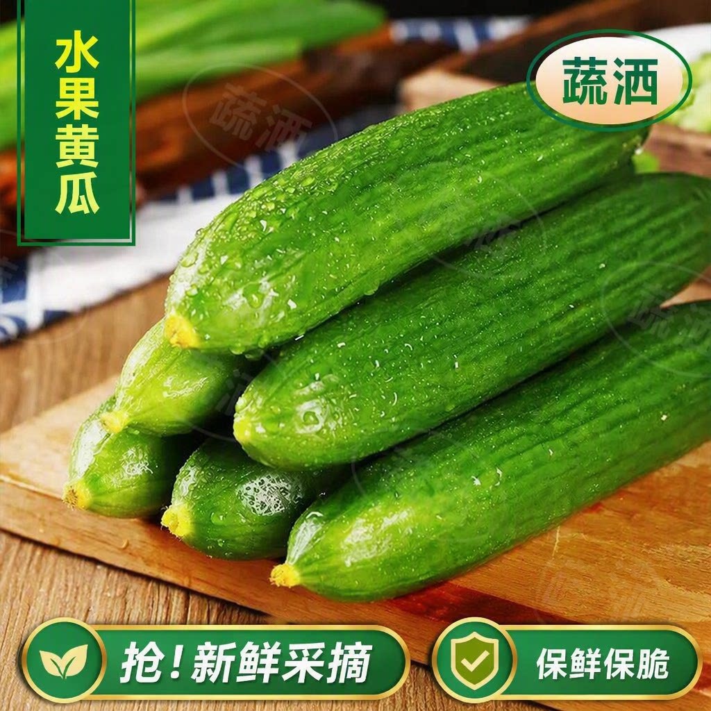 山东脆嫩水果黄瓜小青瓜当季时令蔬菜水果生吃黄瓜现摘瓜果新鲜