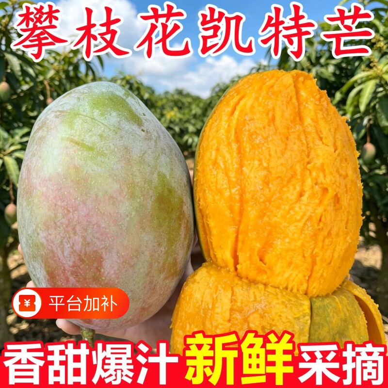 批发攀枝花凯特芒果果园直发现摘新鲜水果当季忙青皮特大芒果现货