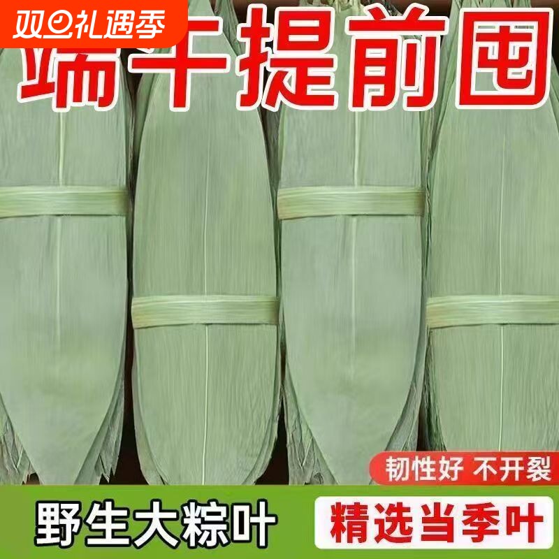 粽子叶粽叶干大号棕叶新鲜包粽子的竹叶子干粽叶商用箬叶材料批发
