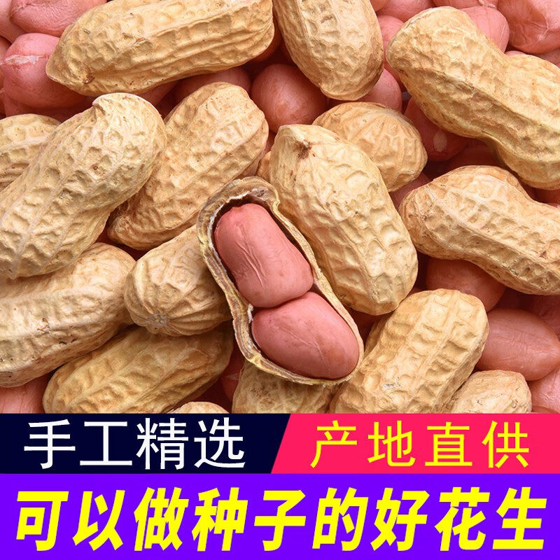 河南带壳花生生的粉皮农家新货5斤种批发新鲜散装打豆浆保存红皮图片
