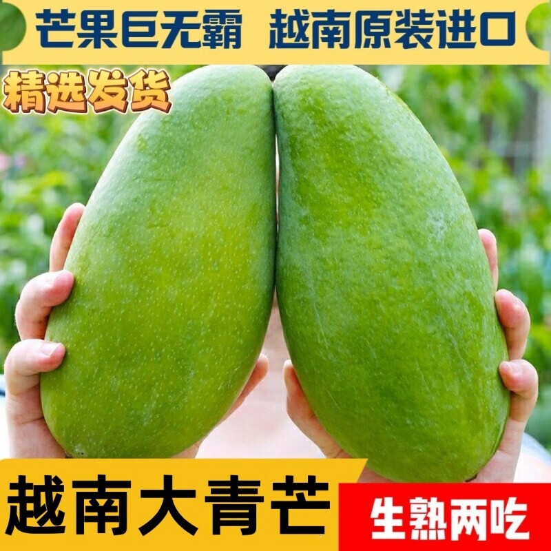 正宗越南玉芒青芒青皮芒果热带水果当季新鲜现摘皮薄肉厚批发价