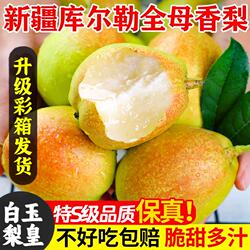 正宗新疆库尔勒香梨新鲜水果全母梨子孕妇小香梨整箱5斤包邮现摘