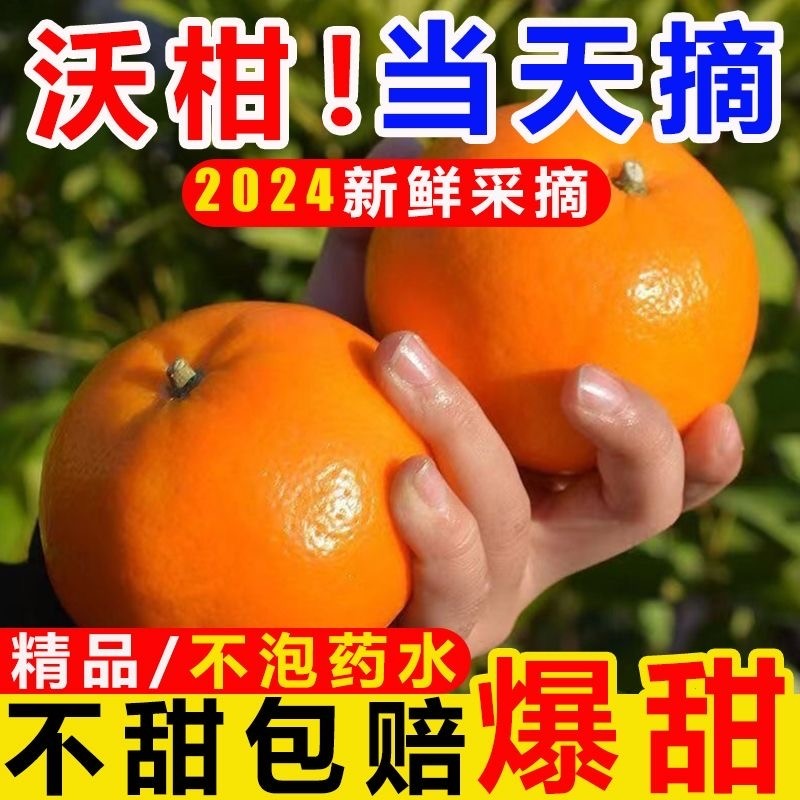 精品广西沃柑10斤新鲜橘子水果砂糖橘皇帝桔子当季整箱现年货节,水产肉类/新鲜蔬果/熟食,桔子,淘宝优惠券,粉丝福利购,淘宝优惠卷