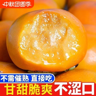 【今年新果】现摘脆柿 【 净重4.5】